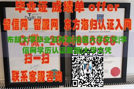 布朗大学毕业证样本|法国大学文凭|学信网学历认证截图|大学文凭